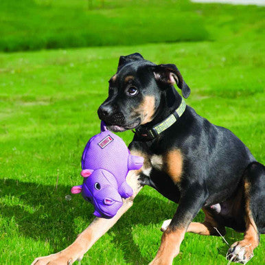 KONG Phatz Hippo Dog Toy