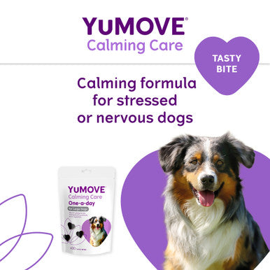 YuMOVE One-A-Day Calming Care Supplement for Large Dogs