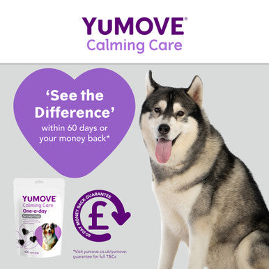 YuMOVE One-A-Day Calming Care Supplement for Large Dogs