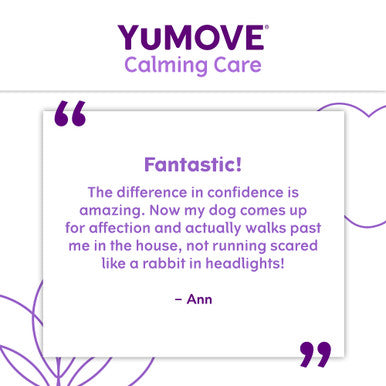 YuMOVE One-A-Day Calming Care Supplement for Large Dogs