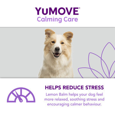 YuMOVE One-A-Day Calming Care Supplement for Large Dogs