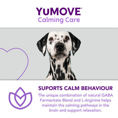 YuMOVE One-A-Day Calming Care Supplement for Large Dogs