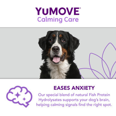 YuMOVE One-A-Day Calming Care Supplement for Large Dogs