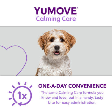 YuMOVE One-A-Day Calming Care Supplement for Small Dogs