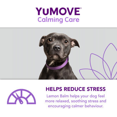 YuMOVE One-A-Day Calming Care Supplement for Small Dogs