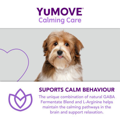 YuMOVE One-A-Day Calming Care Supplement for Small Dogs