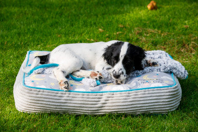 Little Petface Mattress Puppy Bed