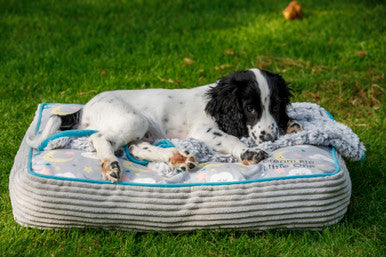 Little Petface Mattress Puppy Bed