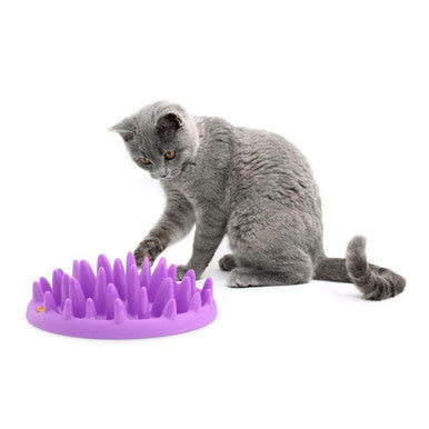 Northmate Catch Interactive Cat Feeder & Toy