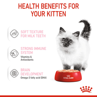 Royal Canin Kitten in Loaf Wet Cat Food