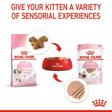 Royal Canin Kitten in Loaf Wet Cat Food