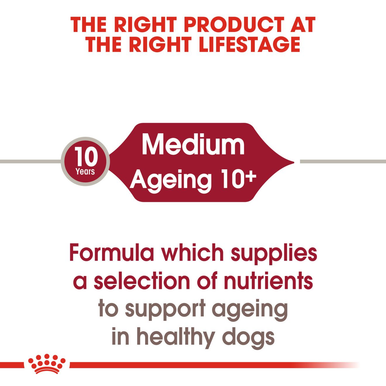 Royal Canin Medium Ageing 10+ Senior in Gravy Wet Dog Food