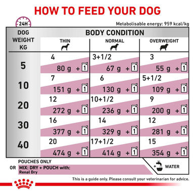 Royal Canin Renal Adult Wet Dog Food 12 x 100g