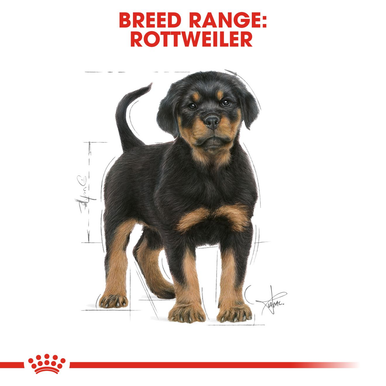 Royal Canin Rottweiler Puppy Dry Food