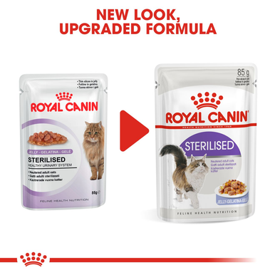 Royal Canin Sterilised Adult in Jelly Wet Cat Food