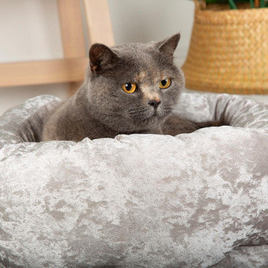 Scruffs Velvet Pet Bed Grey