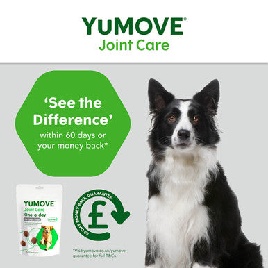 Yumove Chewies One a Day Dog Joint Supplement for Large Dog