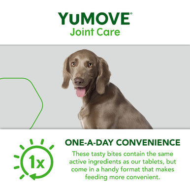 Yumove Chewies One a Day Dog Joint Supplement for Large Dog