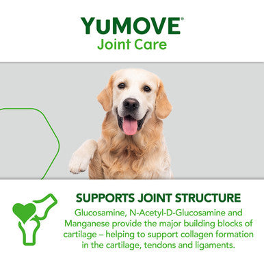 Yumove Chewies One a Day Dog Joint Supplement for Large Dog