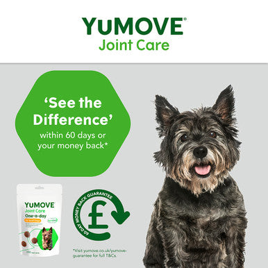 Yumove Chewies One a Day Dog Joint Supplement for Small Dog