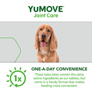 Yumove Chewies One a Day Dog Joint Supplement for Small Dog