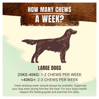 Purina Adventuros Large Adult Wild Chew Dog Treats - Venison