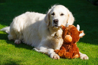 Petface Buddies Highland Cow Dog Toy