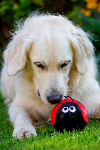 Petface Buddies Ladybird Dog Toy