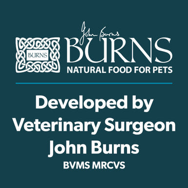 Burns Low Fat Dog Treats - Carrot Bites