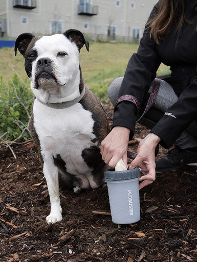 Dexas MudBuster Light Grey Paw Washer for Dog