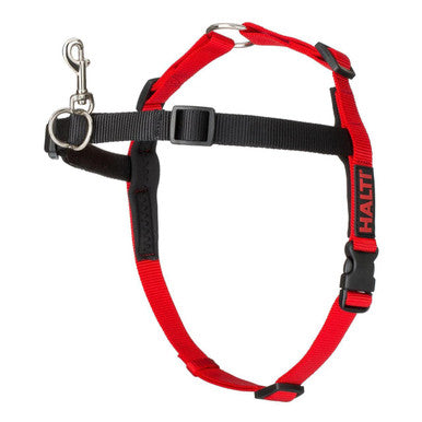 Halti Front Control Dog Training Harness