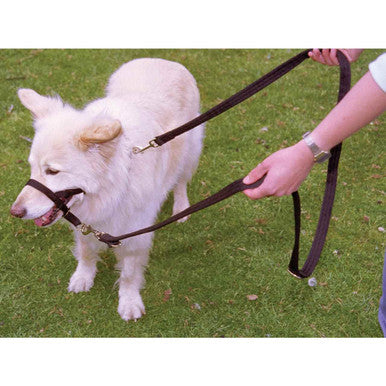 Halti Training Dog Lead in Black Small