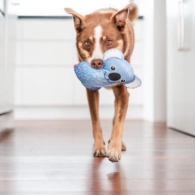 Red Dingo Durables Koala Dog Toy