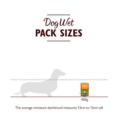 Lily's Kitchen Lean Machine Tin for Dogs