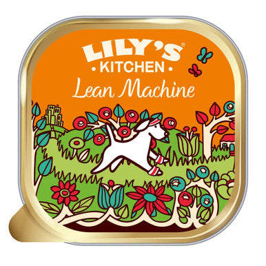 Lily's Kitchen Lean Machine Tray for Dogs