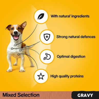 Pedigree Wet Dog Food Pouches - Mixed Selection in Gravy 40 x 100g