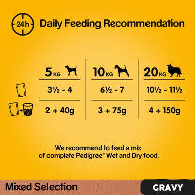 Pedigree Wet Dog Food Pouches - Mixed Selection in Gravy 40 x 100g