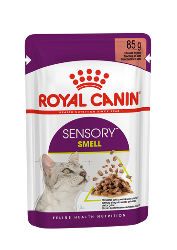 Royal Canin Sensory Smell Wet Cat Food in Gravy