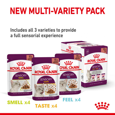 Royal Canin Sensory Smell Wet Cat Food in Gravy