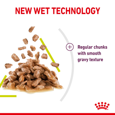 Royal Canin Sensory Smell Wet Cat Food in Gravy