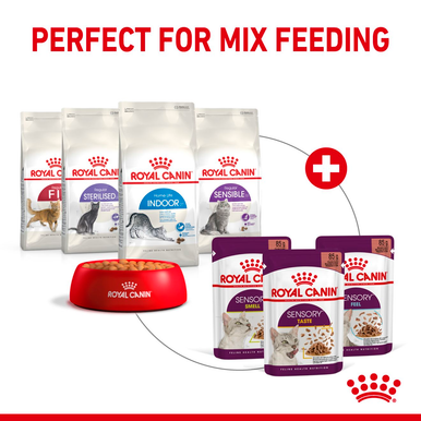 Royal Canin Sensory Smell Wet Cat Food in Gravy