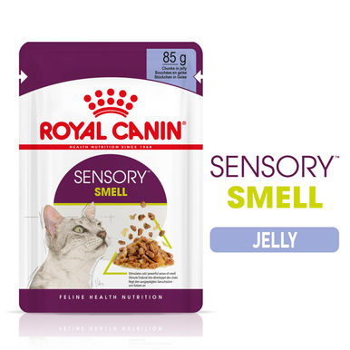 Royal Canin Sensory Smell Wet Cat Food in Jelly