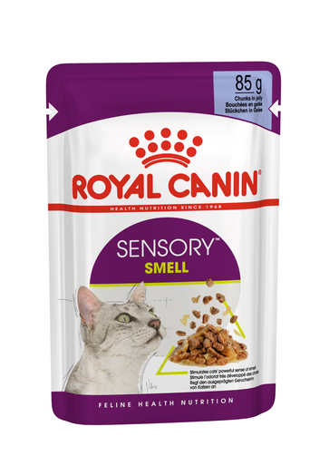 Royal Canin Sensory Smell Wet Cat Food in Jelly