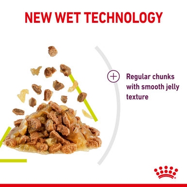 Royal Canin Sensory Smell Wet Cat Food in Jelly