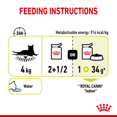 Royal Canin Sensory Smell Wet Cat Food in Jelly