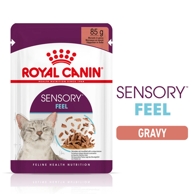 Royal Canin Sensory Feel Wet Cat Food in Gravy