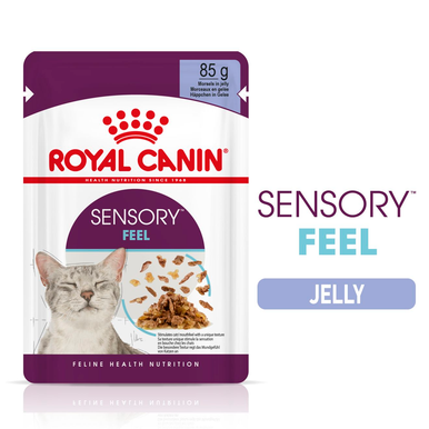 Royal Canin Sensory Feel Wet Cat Food in Jelly