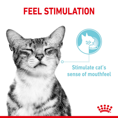 Royal Canin Sensory Feel Wet Cat Food in Jelly