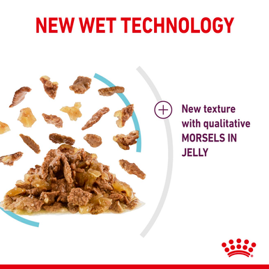 Royal Canin Sensory Feel Wet Cat Food in Jelly