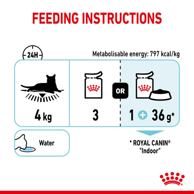 Royal Canin Sensory Feel Wet Cat Food in Jelly